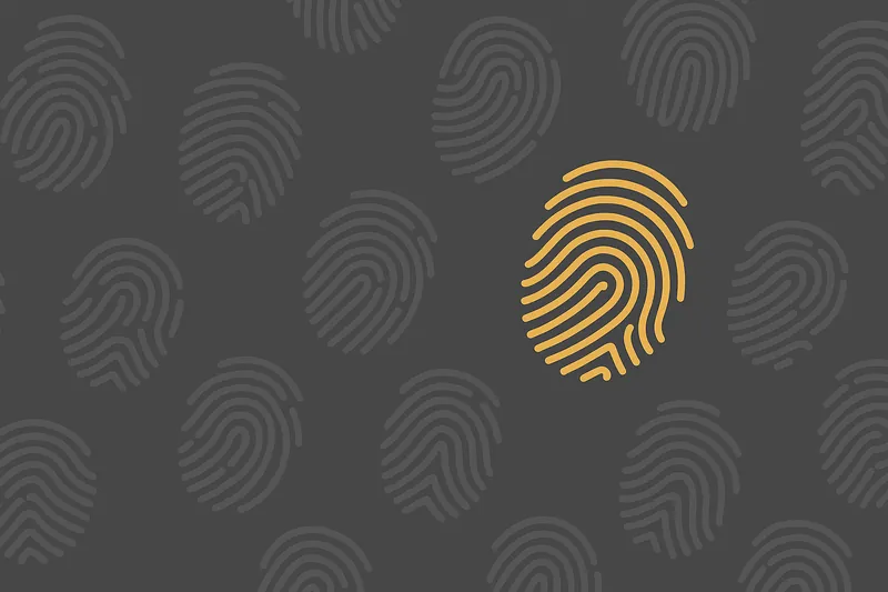 多数の異なる指紋パターンの中に、1つだけ強調された指紋が存在する構図。