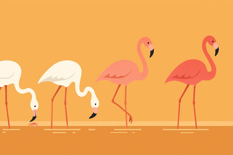 白いフラミンゴがエビやプランクトンを食べ、徐々にピンク色になる様子を表現。横長、フラットデザイン、文字なし。