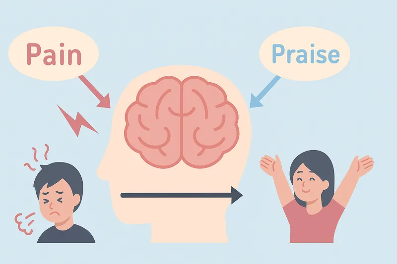 ほめられると痛みが減る脳の反応を示す構図