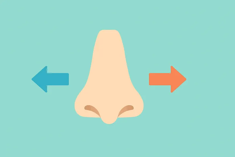 zatsugaku useful nose and arrows