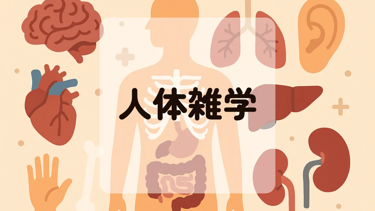 人体雑学アイキャッチ