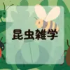 昆虫雑学アイキャッチ