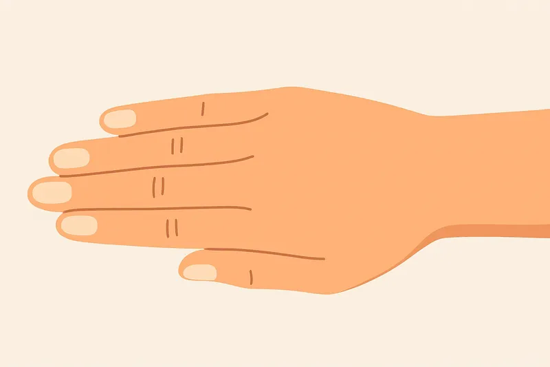 zatsugaku frivolous hand illustration