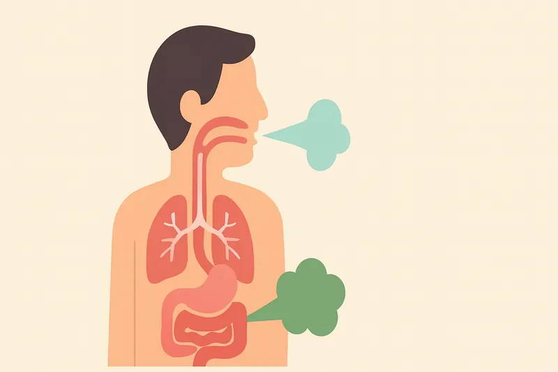 zatsugaku frivolous human respiratory and digestive system