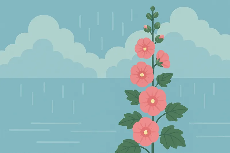 zatsugaku rainy season hollyhock flower in rain