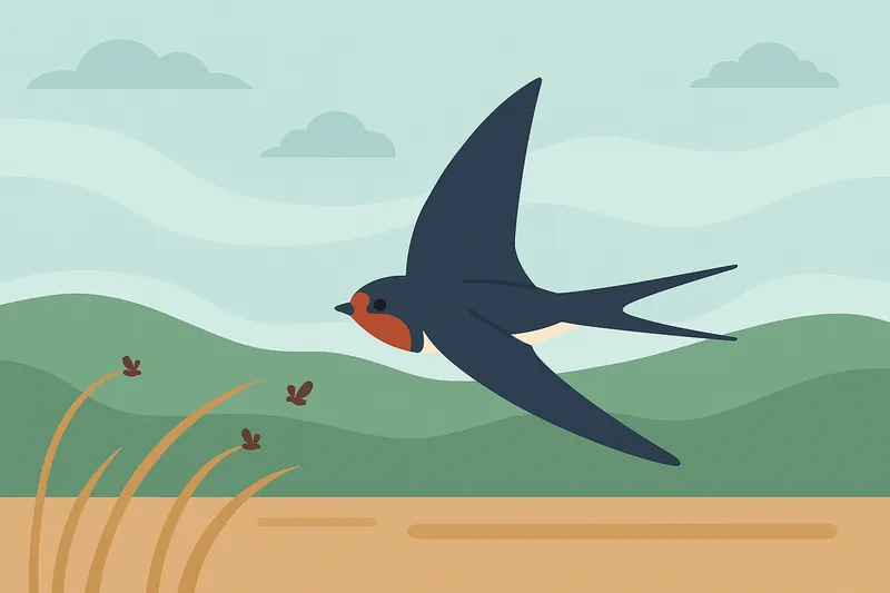 zatsugaku rainy season swallow flying over grassland