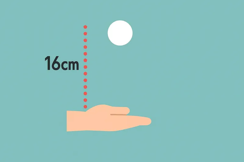 zatsugaku sports hand with ball 16cm