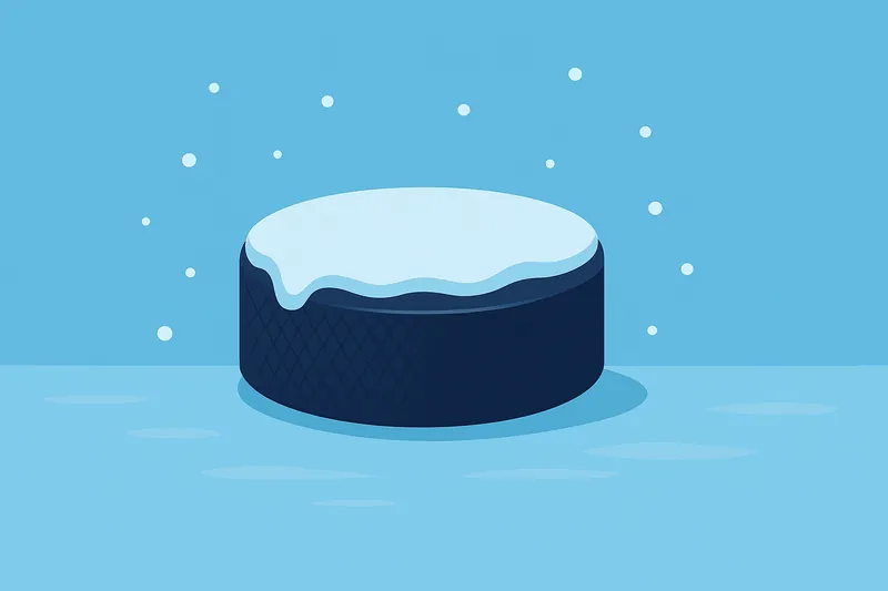 zatsugaku sports hockey puck with snow