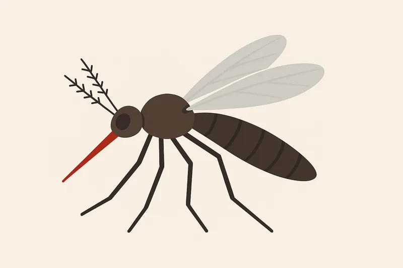 zatsugaku summer mosquito