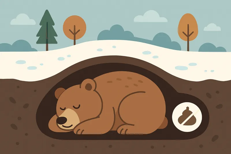 zatsugaku winter bear hibernating in den