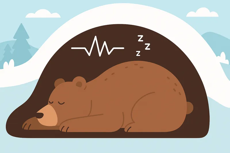 zatsugaku winter bear hibernating