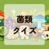 菌類クイズ