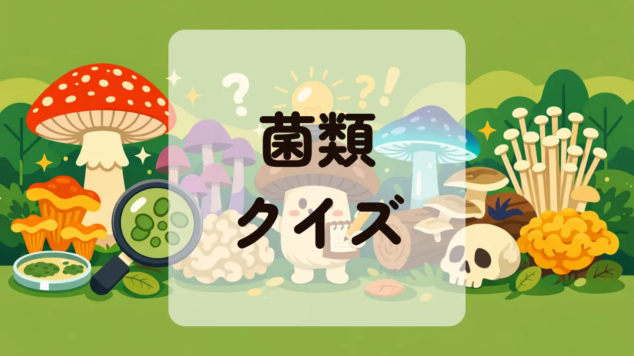菌類クイズ