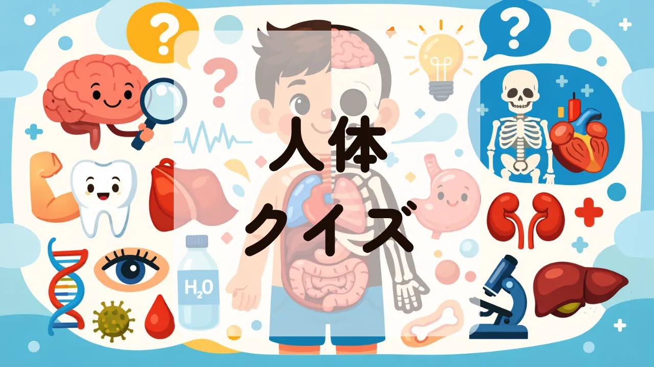 人体クイズ