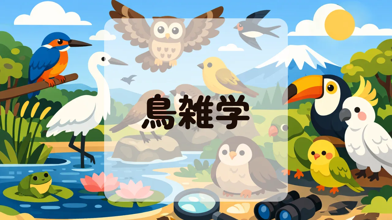 鳥雑学
