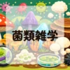 菌類雑学