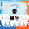歯雑学