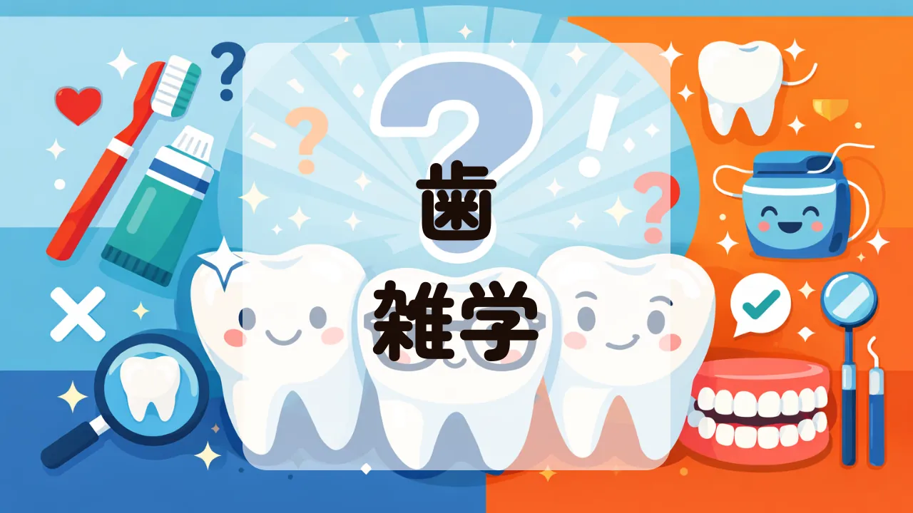 歯雑学