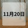 11月20日　今日は何の日