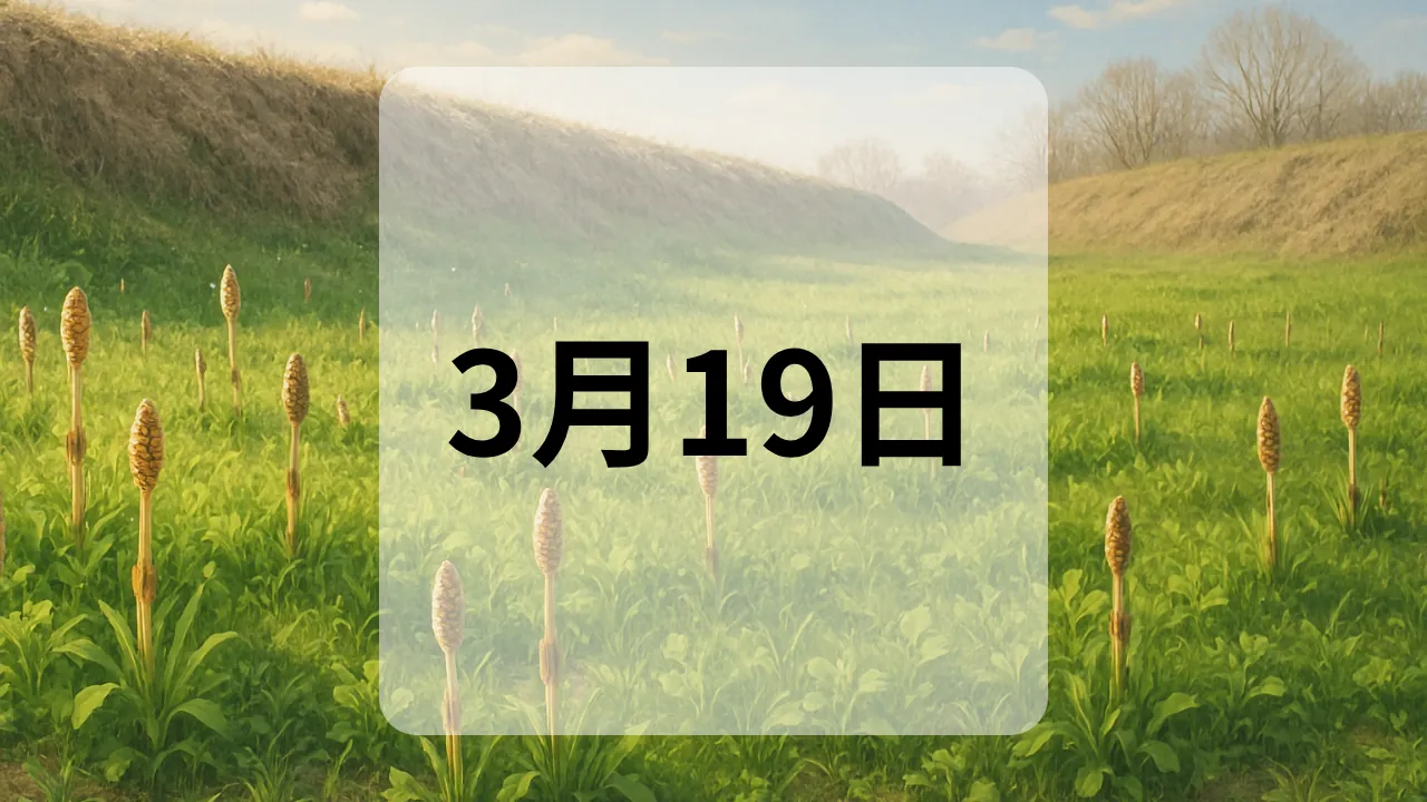 3月19日　今日は何の日