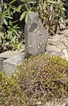 大津市の竜が丘俳人墓地にある内藤丈草の墓