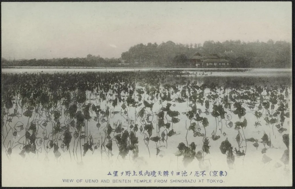 上野の不忍池と弁天境内を写した古い絵葉書
