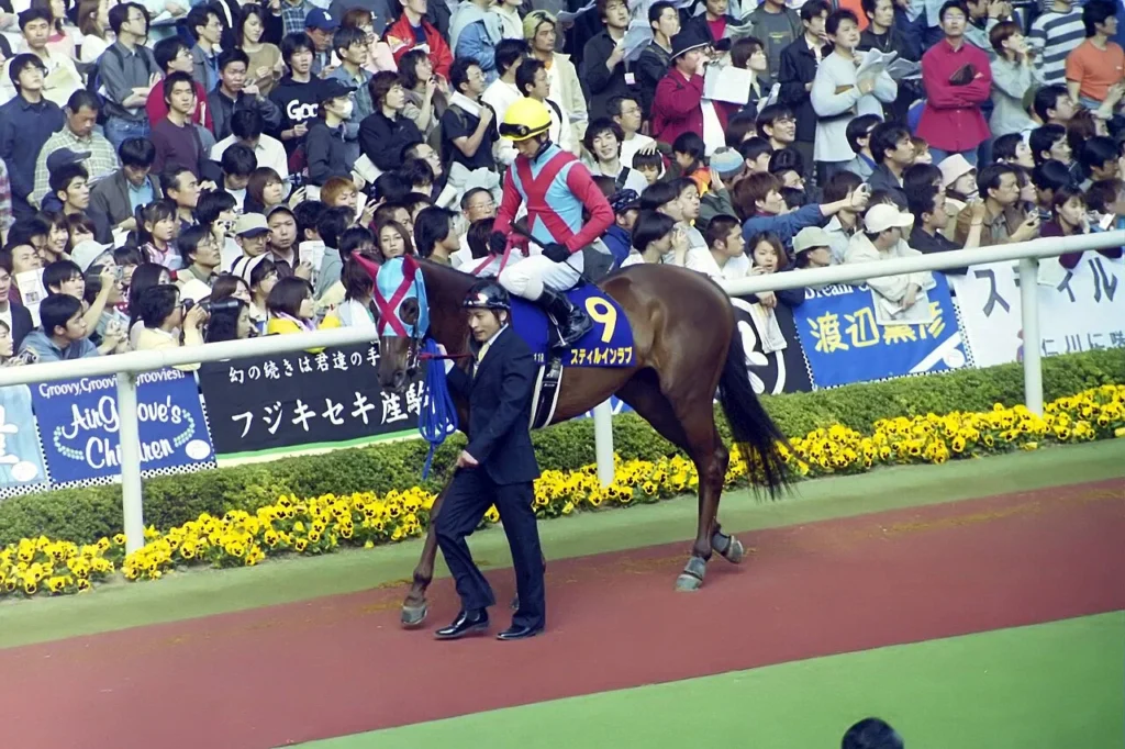 競走馬スティルインラブの写真