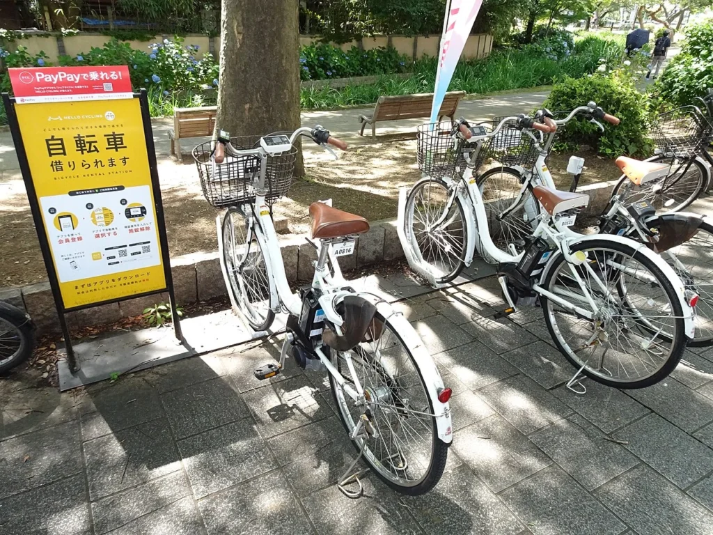 千葉公園で開かれた大賀ハス祭りの写真