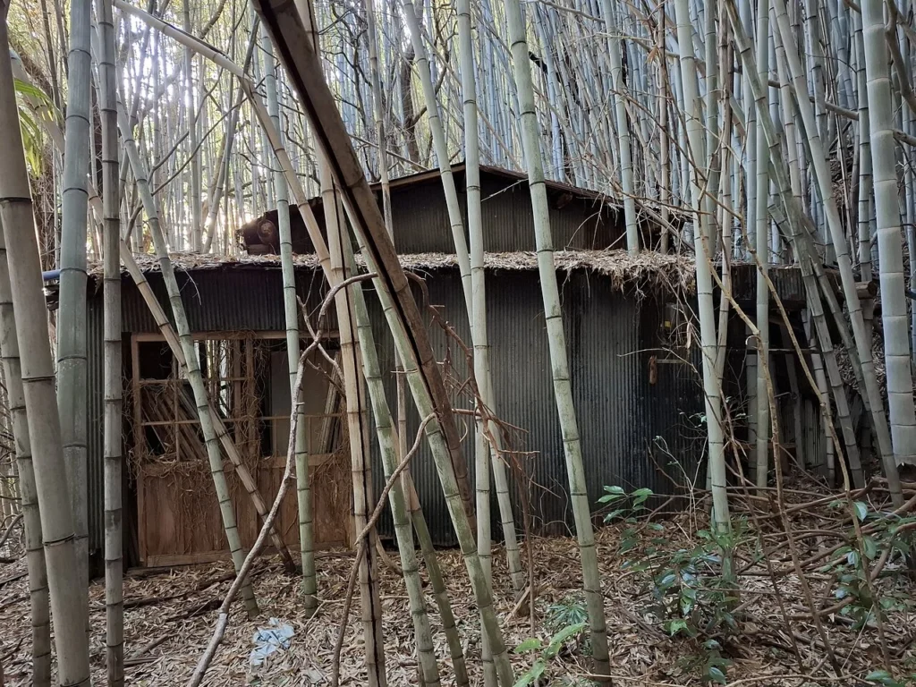 山口県柳井市にある空き家