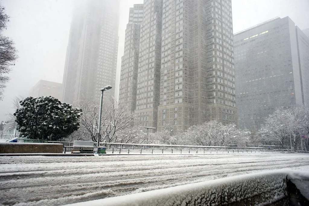 吹雪に見舞われた東京・新宿の写真
