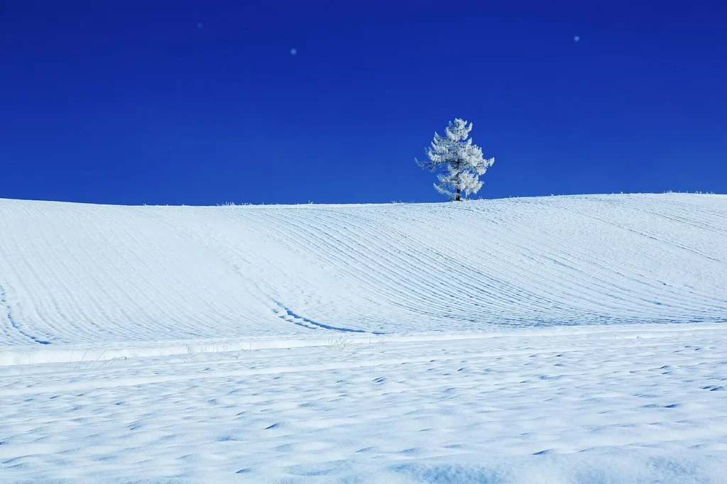 北海道美瑛町の雪景色に舞うダイヤモンドダスト