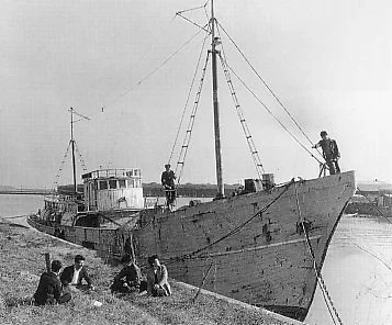 被曝事件直前の1950年代初頭に撮影された第五福竜丸