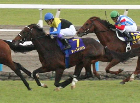 2005年10月23日に京都競馬場で撮影された競走馬ディープインパクト