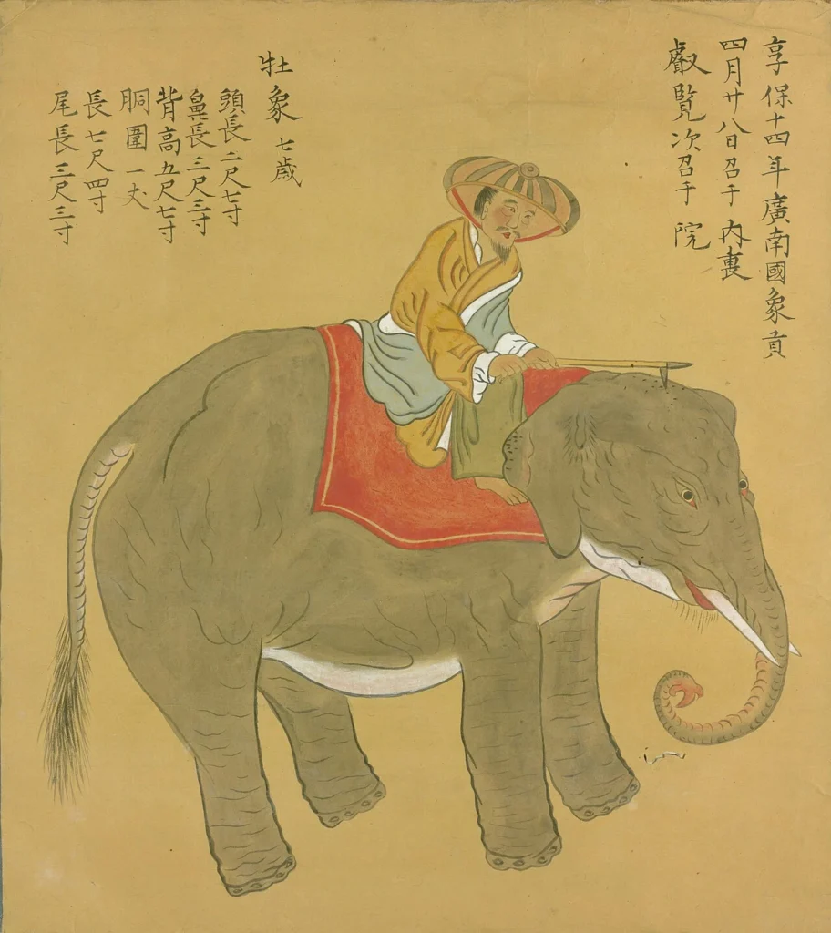 1729年にベトナムから京都へ到着した象を描いた図