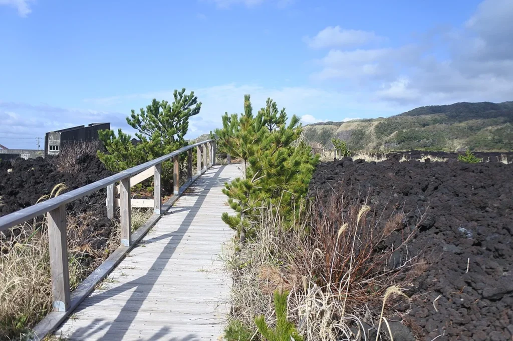 1983年の三宅島噴火で阿古地区を覆った溶岩流の跡
