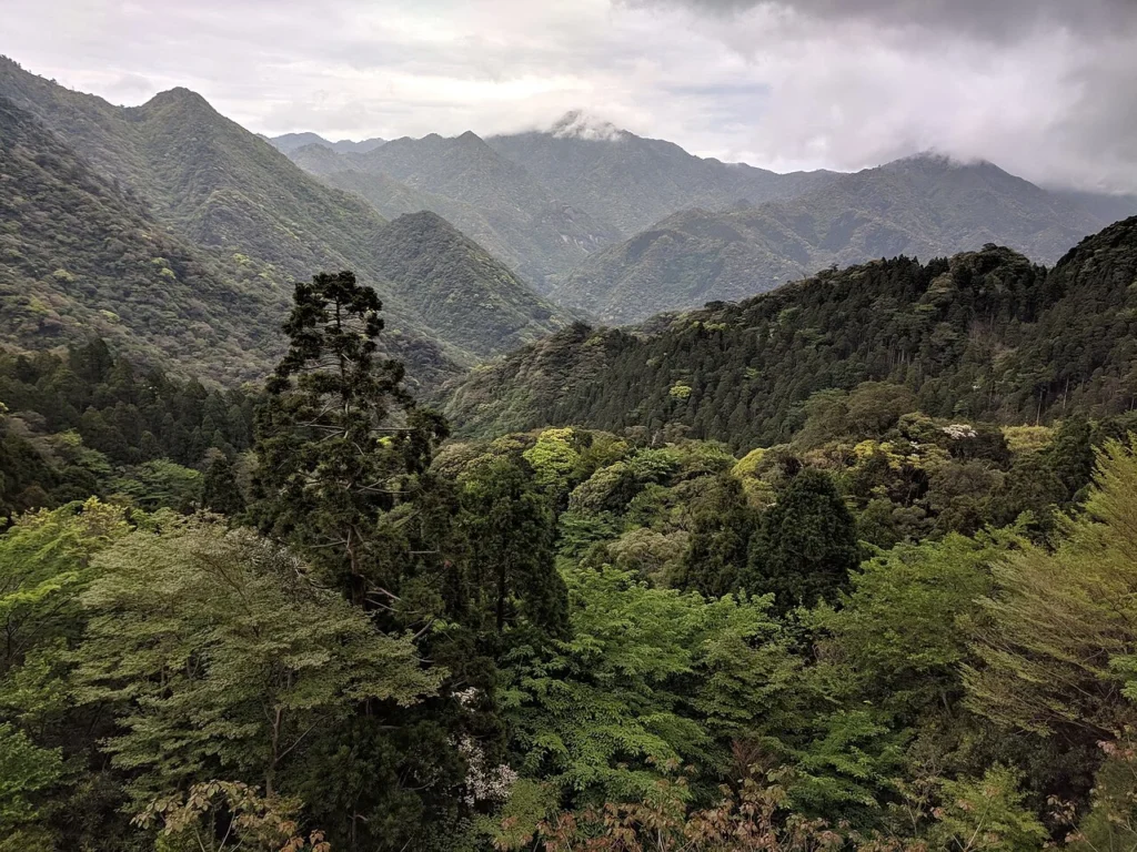 森林に覆われた屋久島の山々
