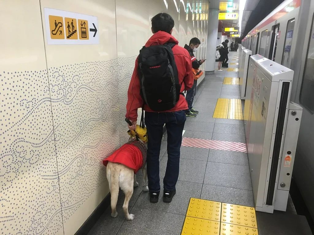 浅草駅のホームにいる盲導犬