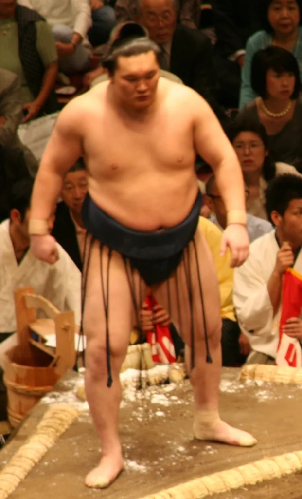 大相撲力士・白鵬翔の写真