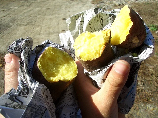 石の上で焼いたサツマイモ