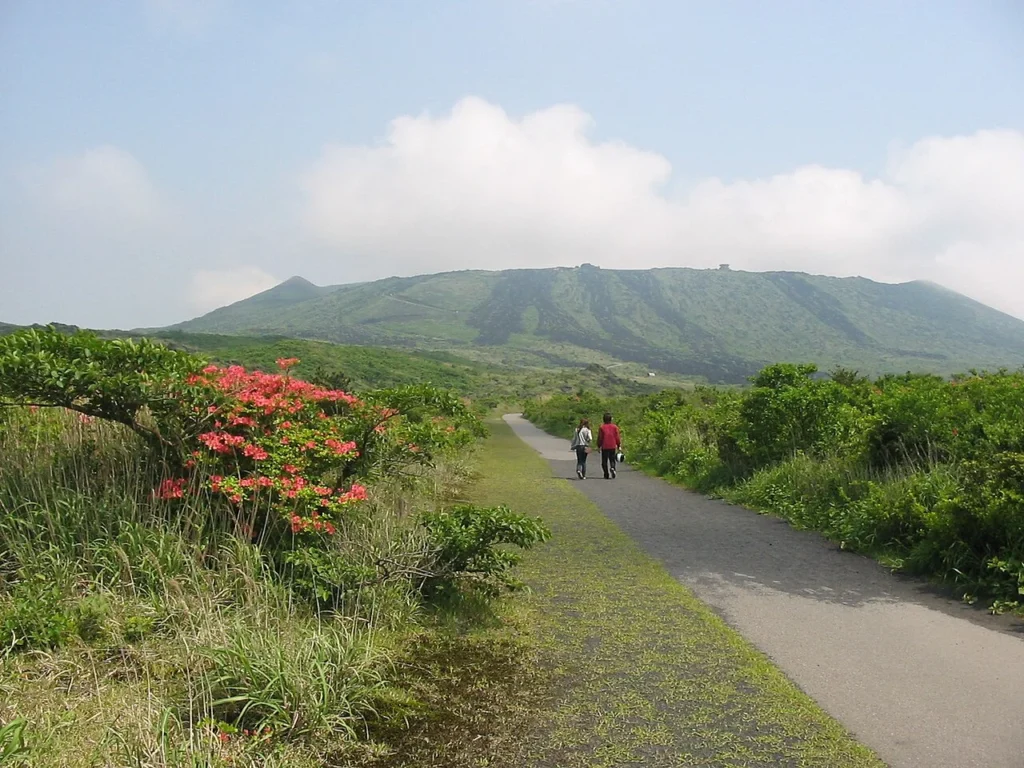 三原山と1986年の噴火で形成された溶岩流