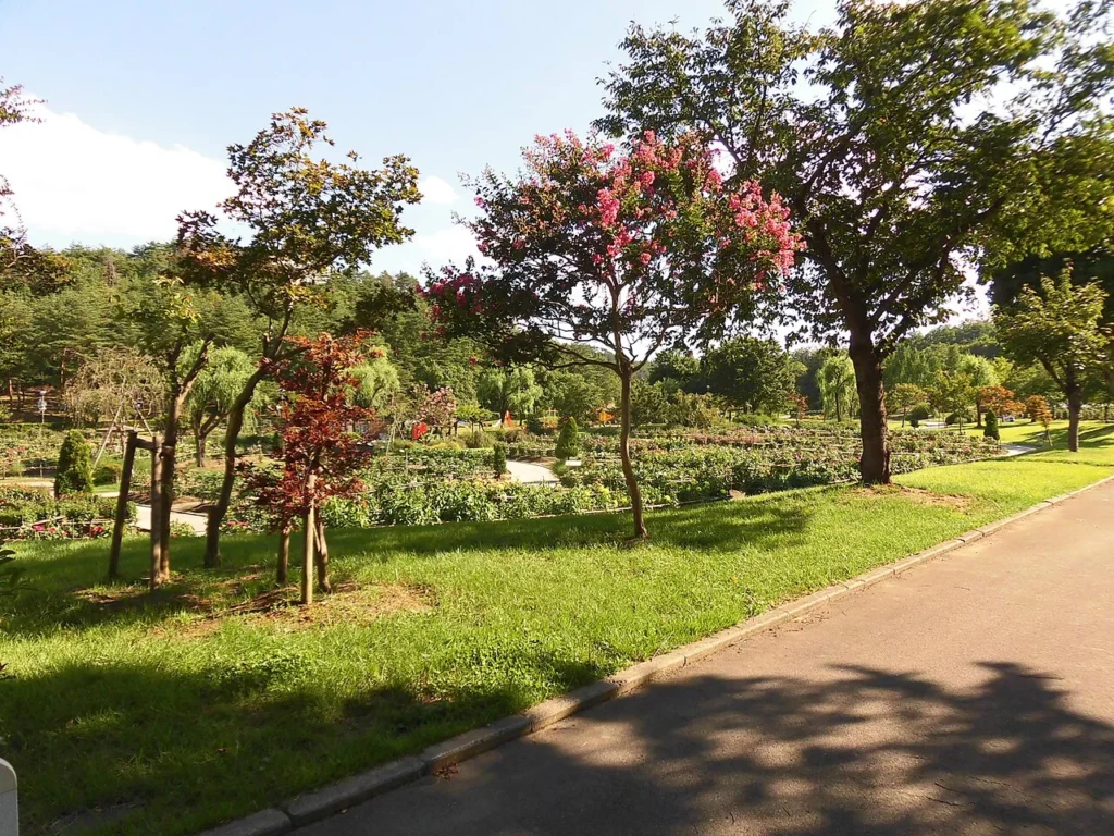 山形県川西町にある川西ダリヤ園の園内写真