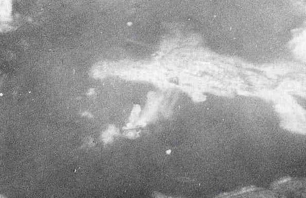 ツラギ港でアメリカ軍機の爆撃を受ける日本の輸送船