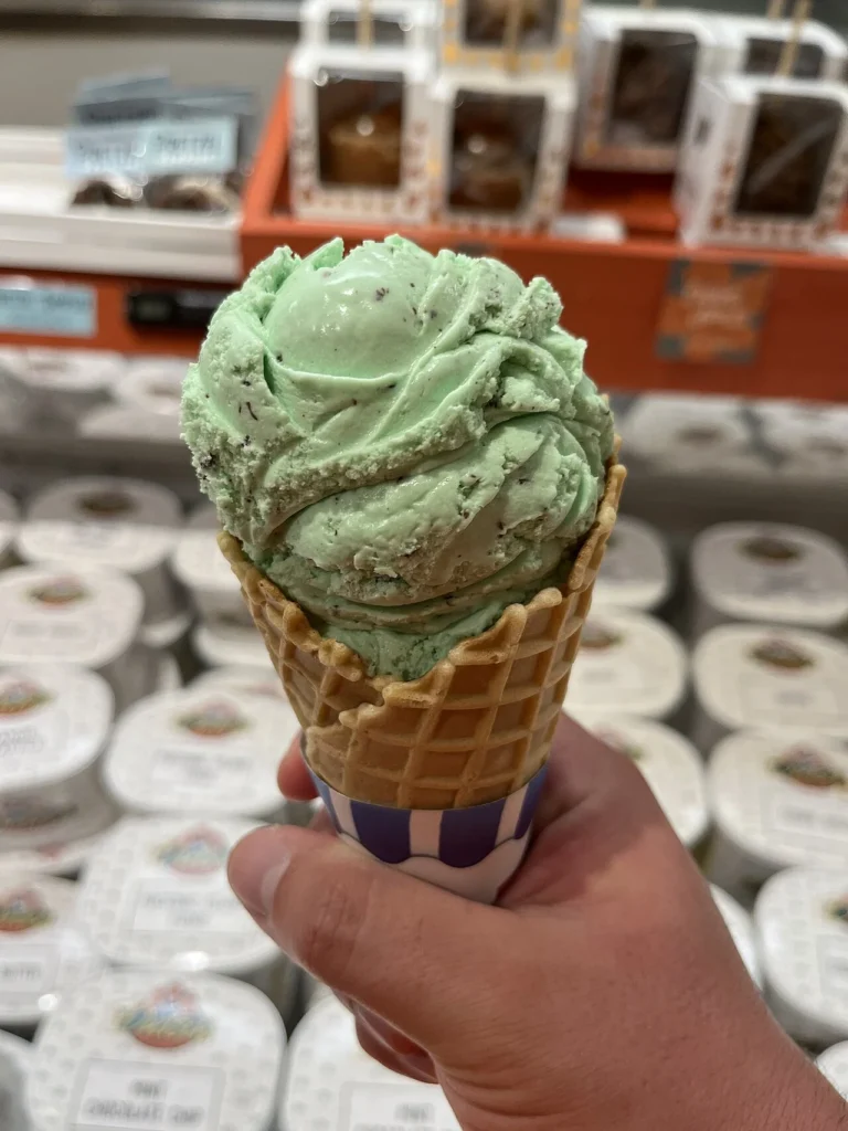 カップに盛られたミントチョコチップアイスクリーム