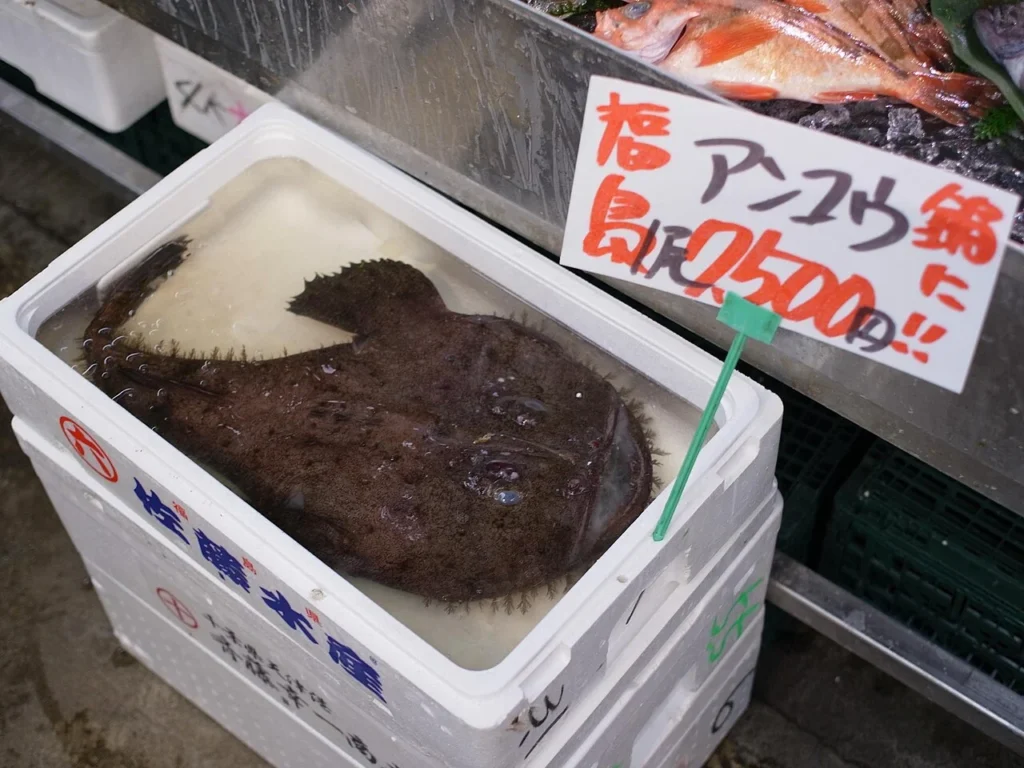 アンコウを撮影した写真