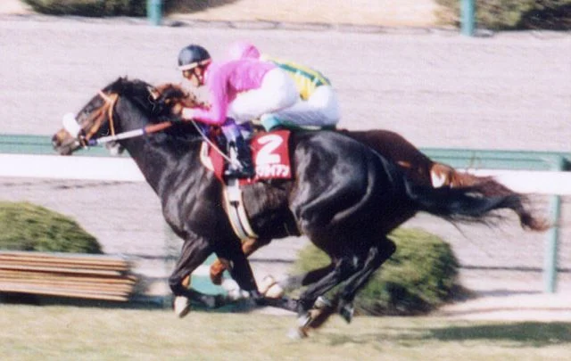 シャドーロールを着けて走る競走馬ナリタブライアン
