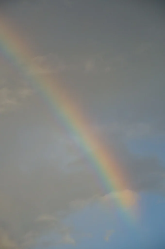 空に架かる虹の写真