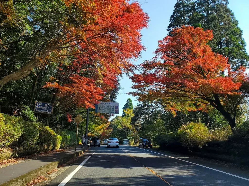 鹿児島県霧島市霧島田口を通る国道223号