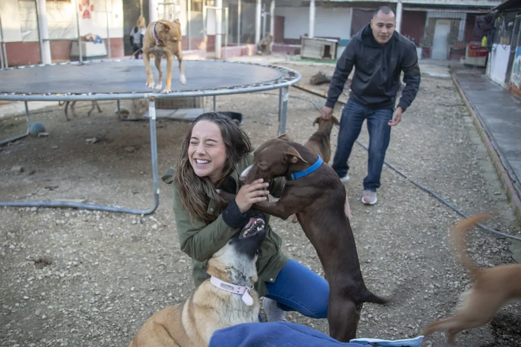スペインの動物保護施設で犬たちと触れ合う米海兵隊員