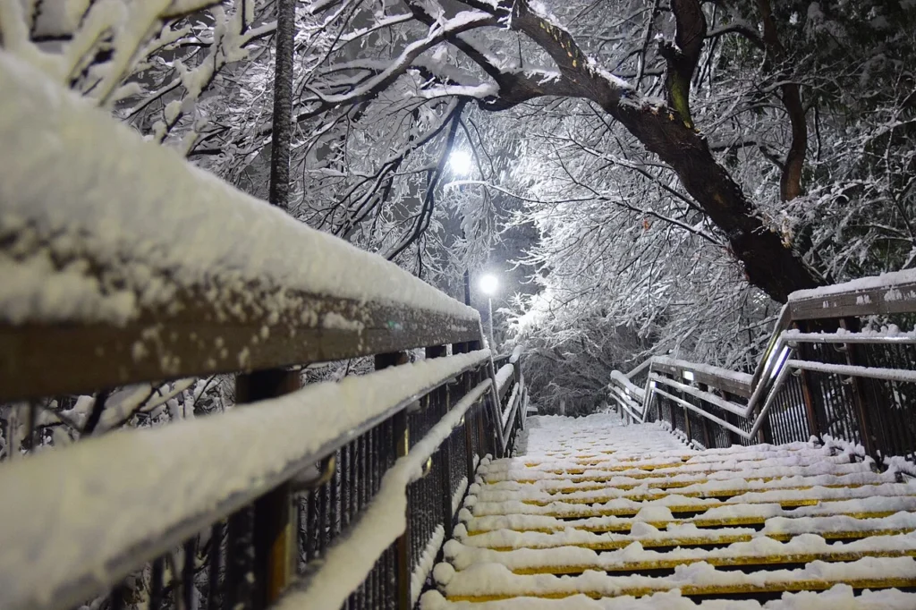 2018年1月22日に撮影された雪の東京