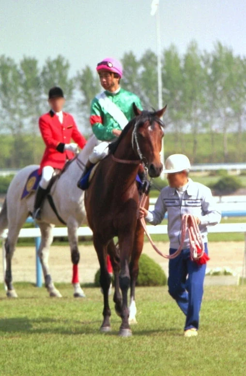 競走馬シンボリルドルフ